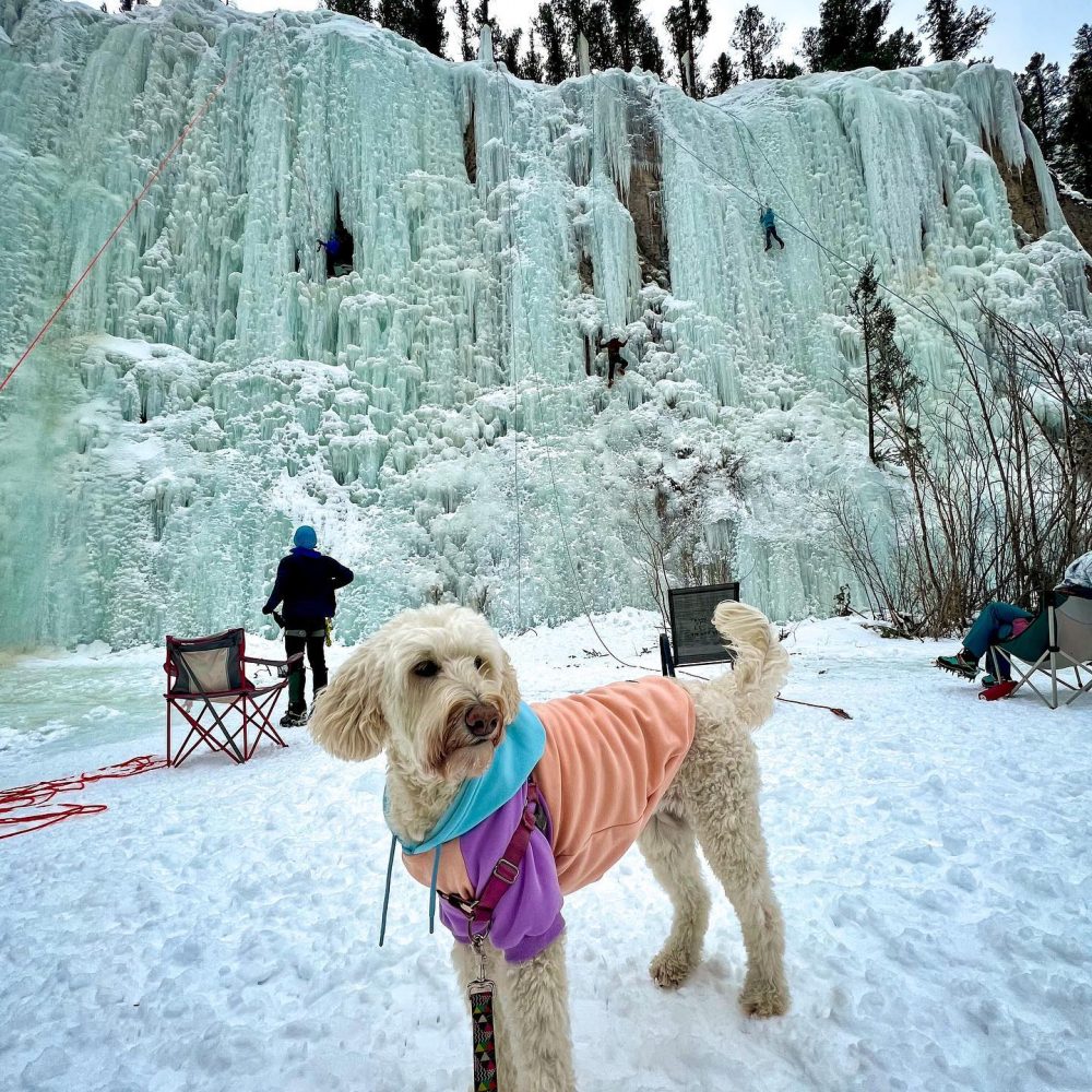 475997933_1040633864750160_284336267761881577_n_580992417380976